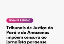 Nota de Repúdio: Justiça do Pará e do Amazonas impõe censura a jornalista paraense Adriano Wilkson